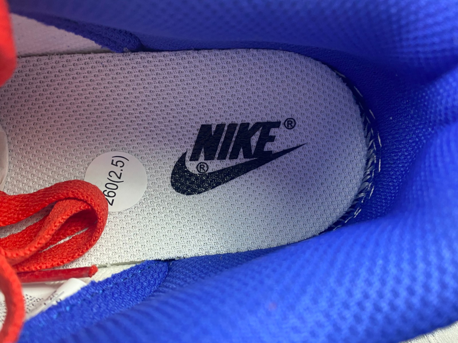 Nike Dunk Low Bright Crimson Game Royal  CW1590-104