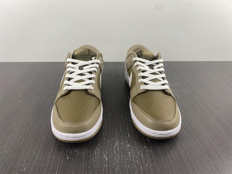 Nike Dunk Low Judge Grey DJ6188-200
