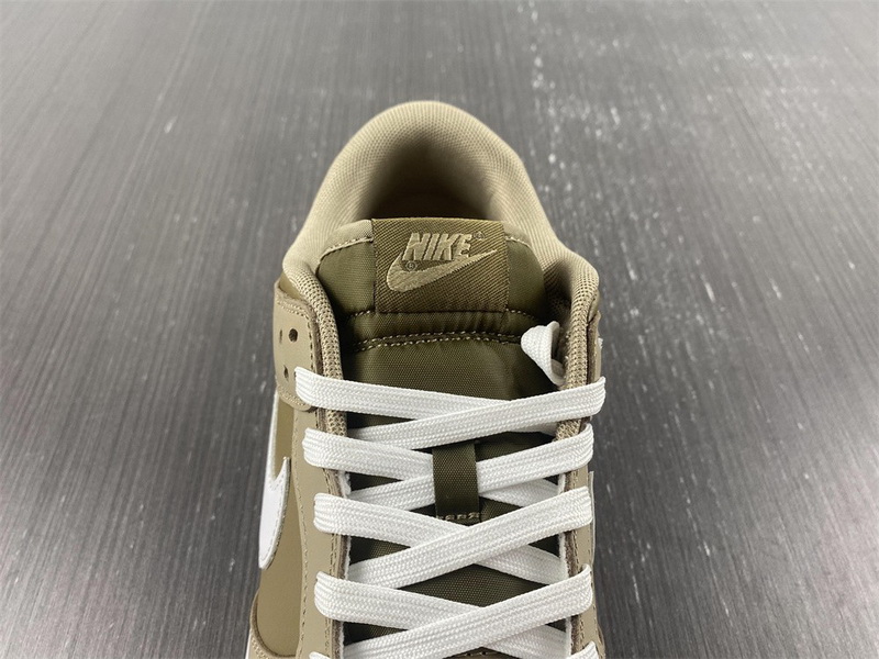 Nike Dunk Low Judge Grey DJ6188-200