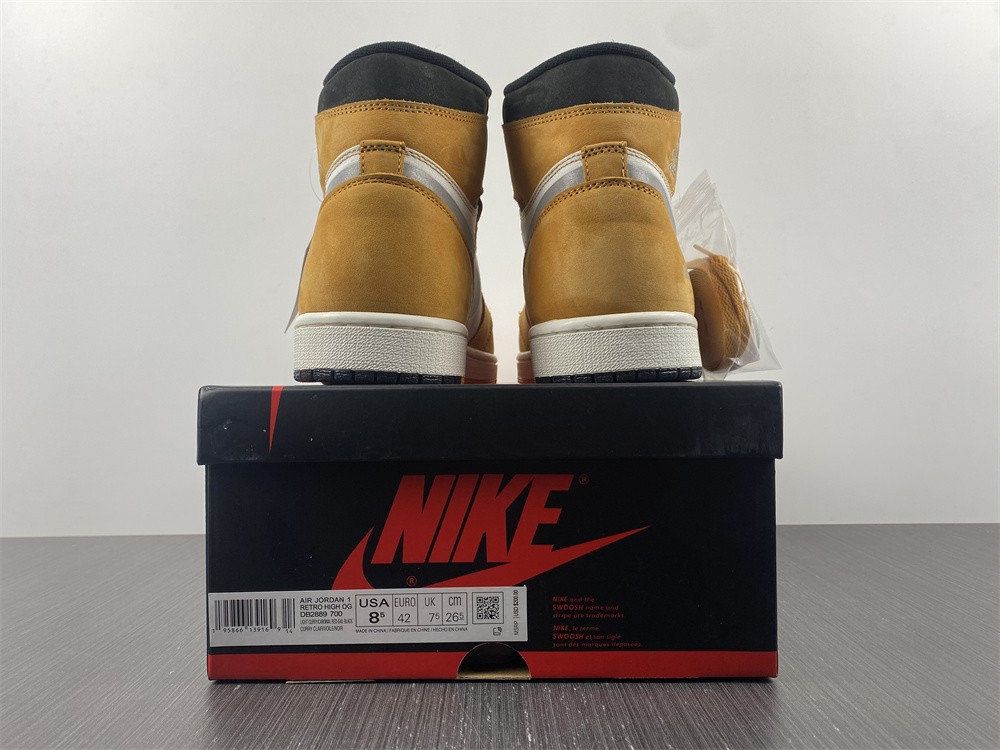 Air Jordan 1 High Element Gore-Tex Light Curry DB2889-700