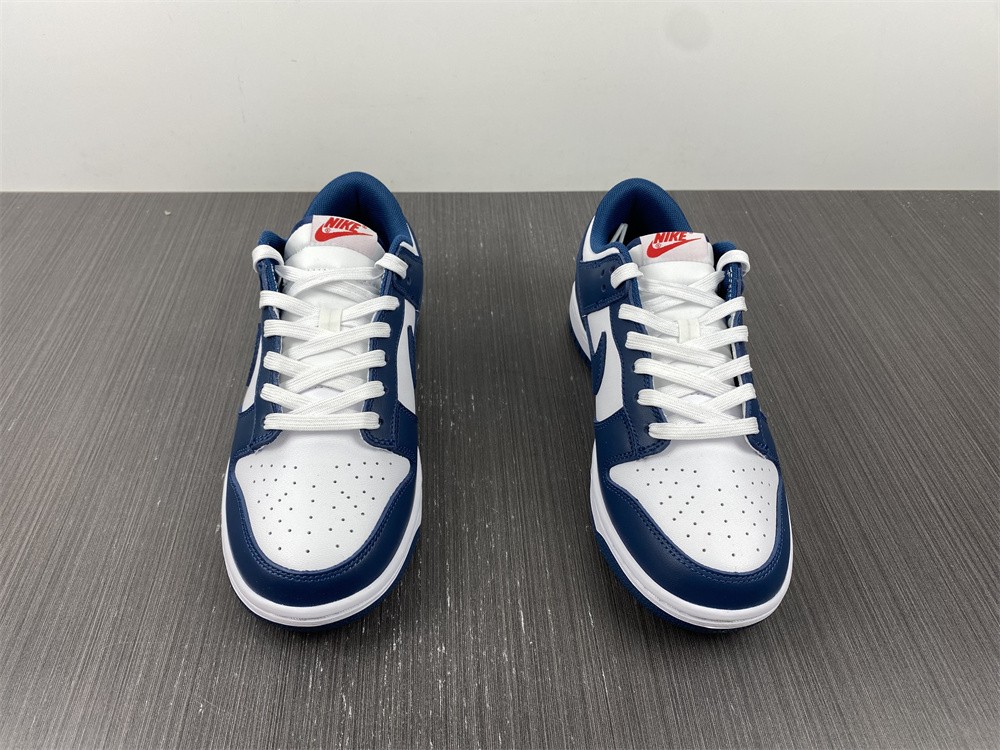 Nike Dunk Low Valerian Blue DD1391-400