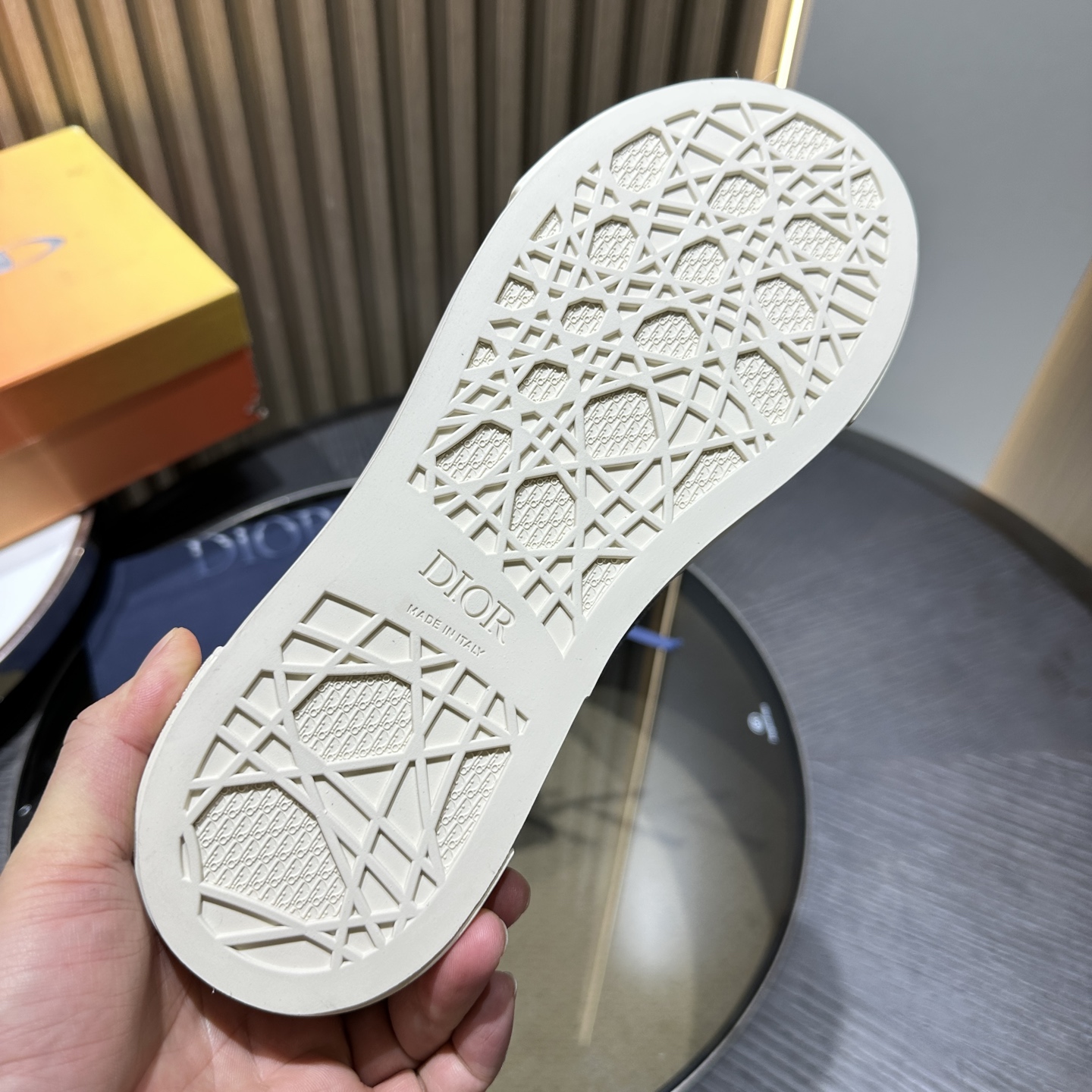DIOR B33 SNEAKER