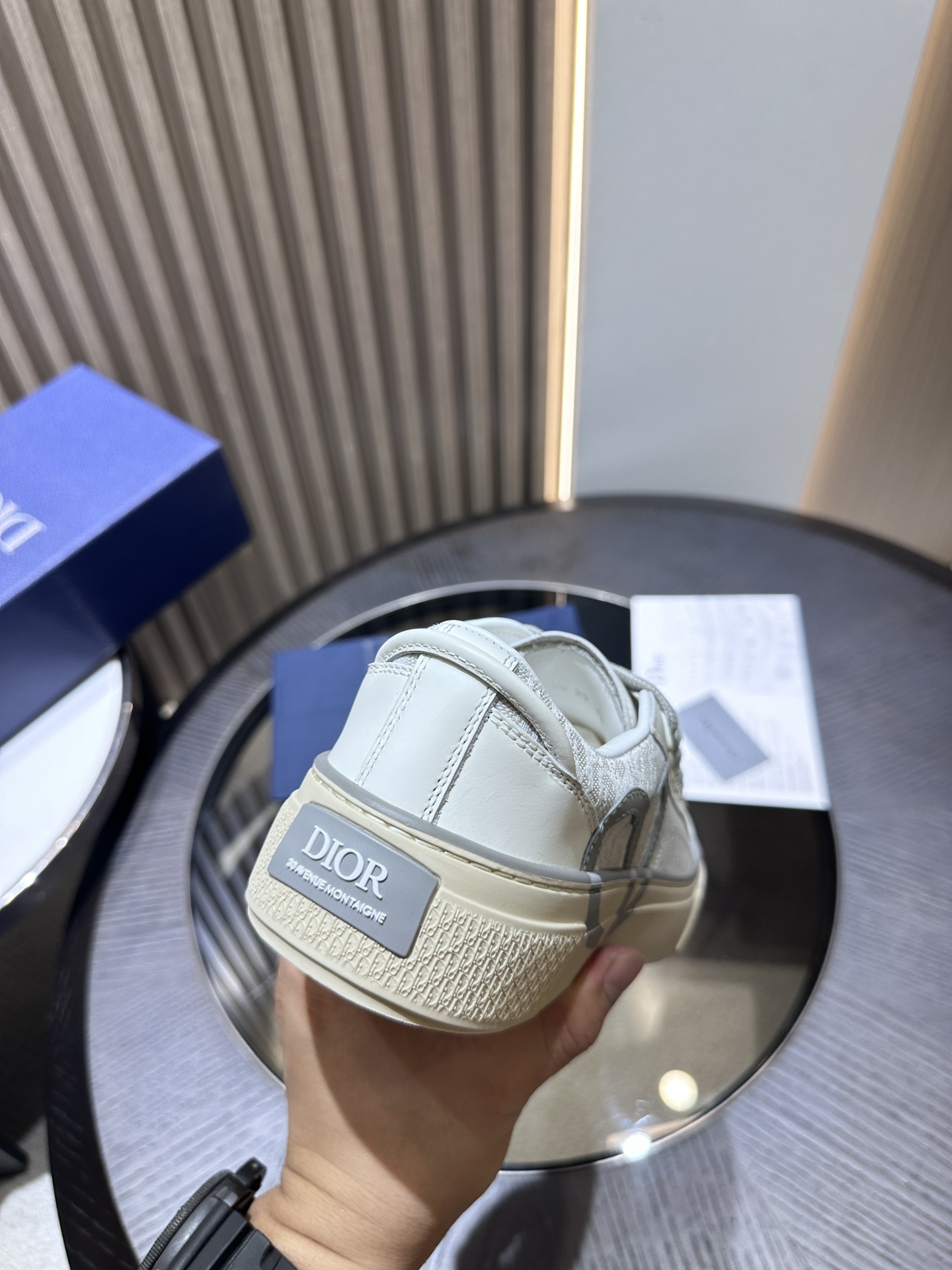DIOR B33 SNEAKER