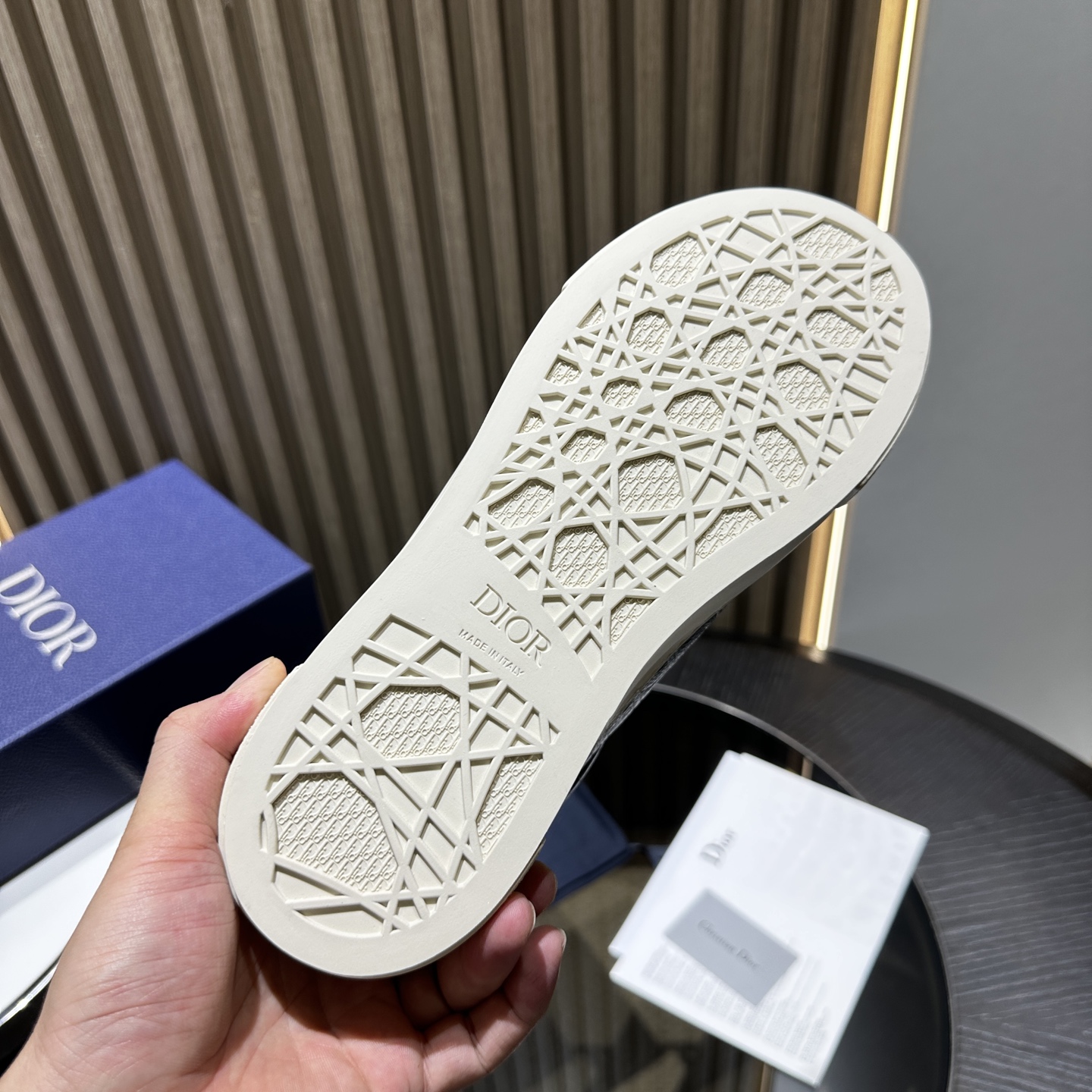 DIOR B33 SNEAKER