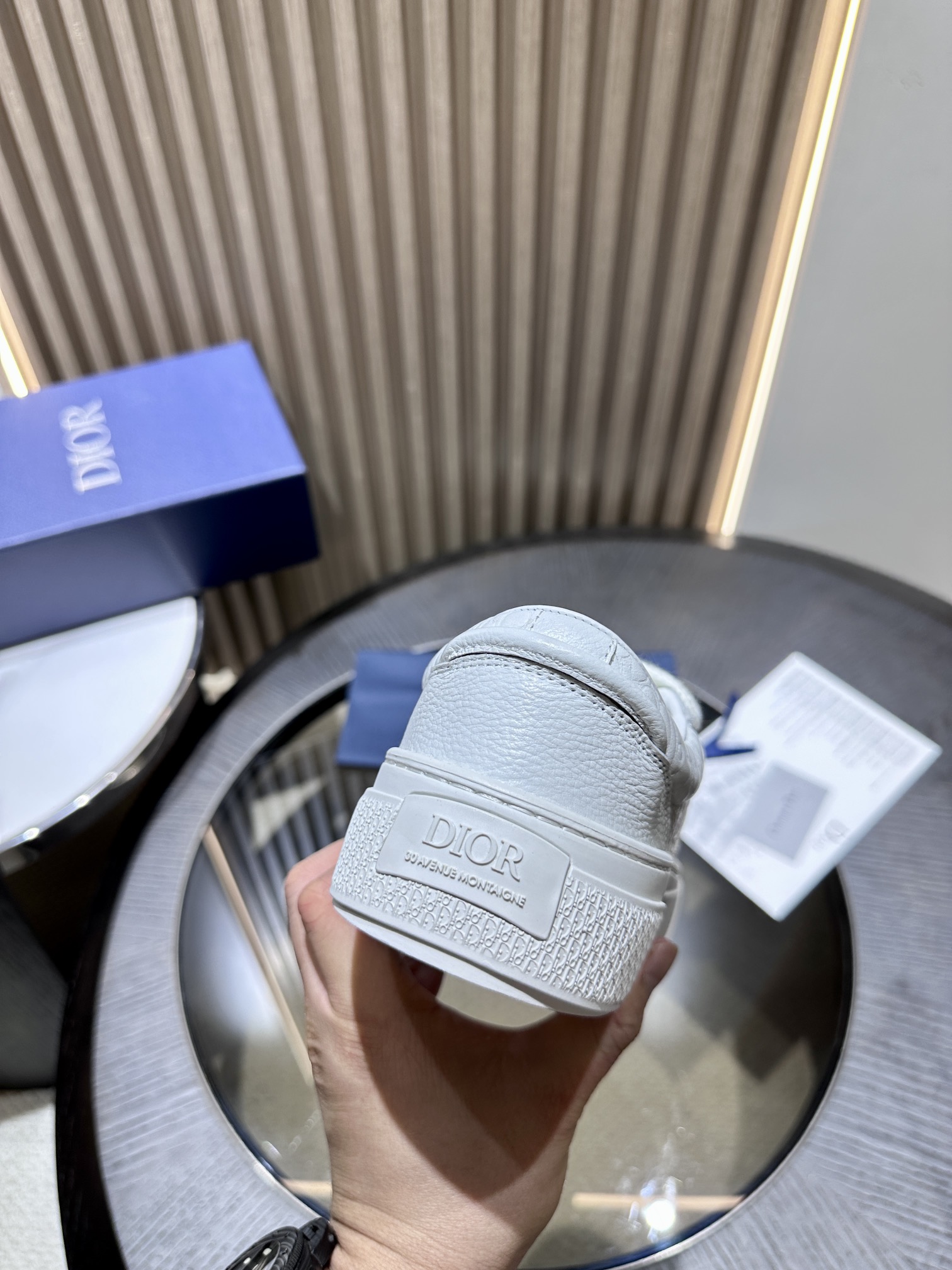 DIOR B33 SNEAKER