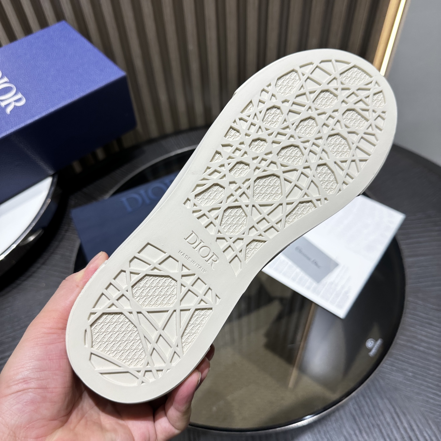 DIOR B33 SNEAKER