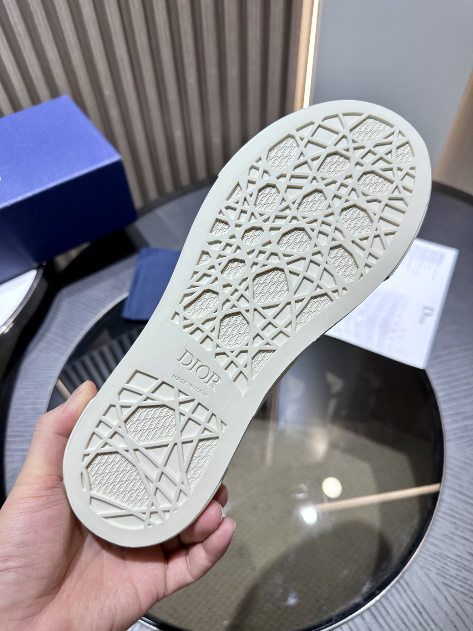 DIOR B33 SNEAKER