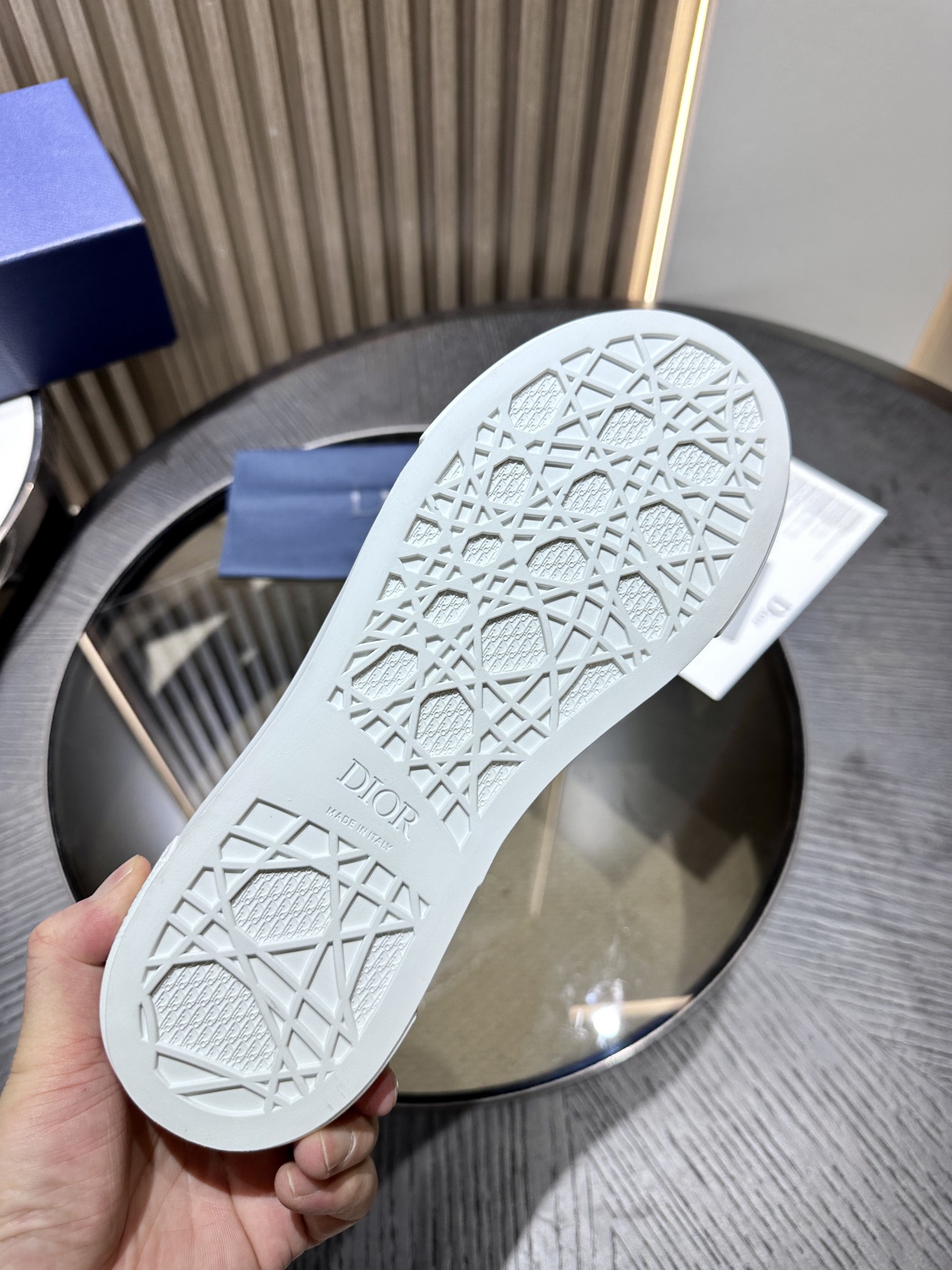 DIOR B33 SNEAKER