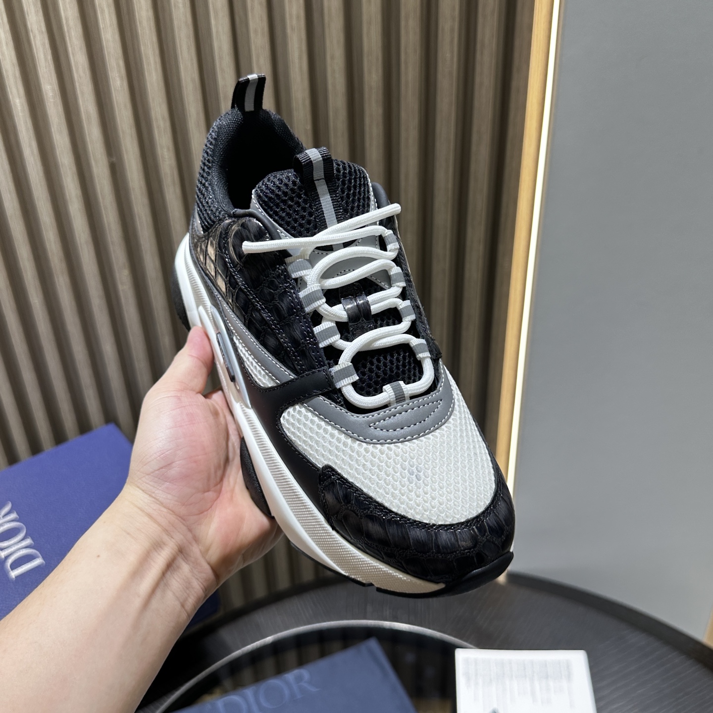 DIOR B22 SNEAKER