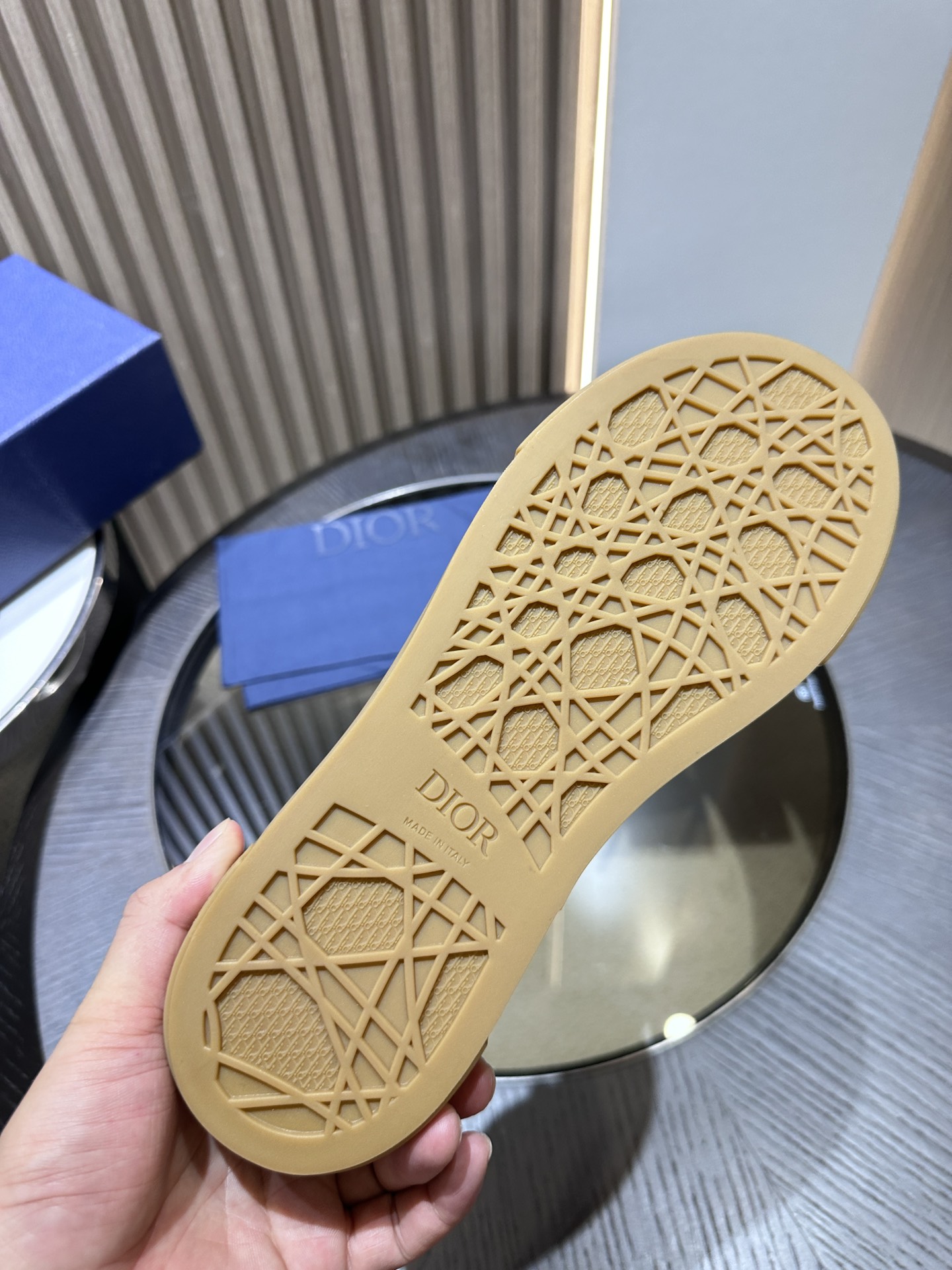 DIOR B33 SNEAKER