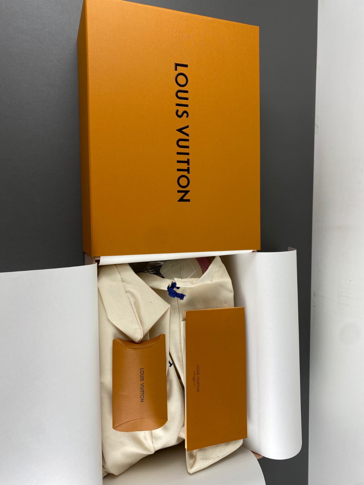 LV Trainer Sneaker