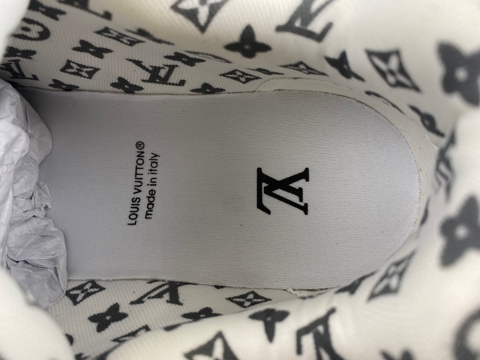 LV Skate Sneaker