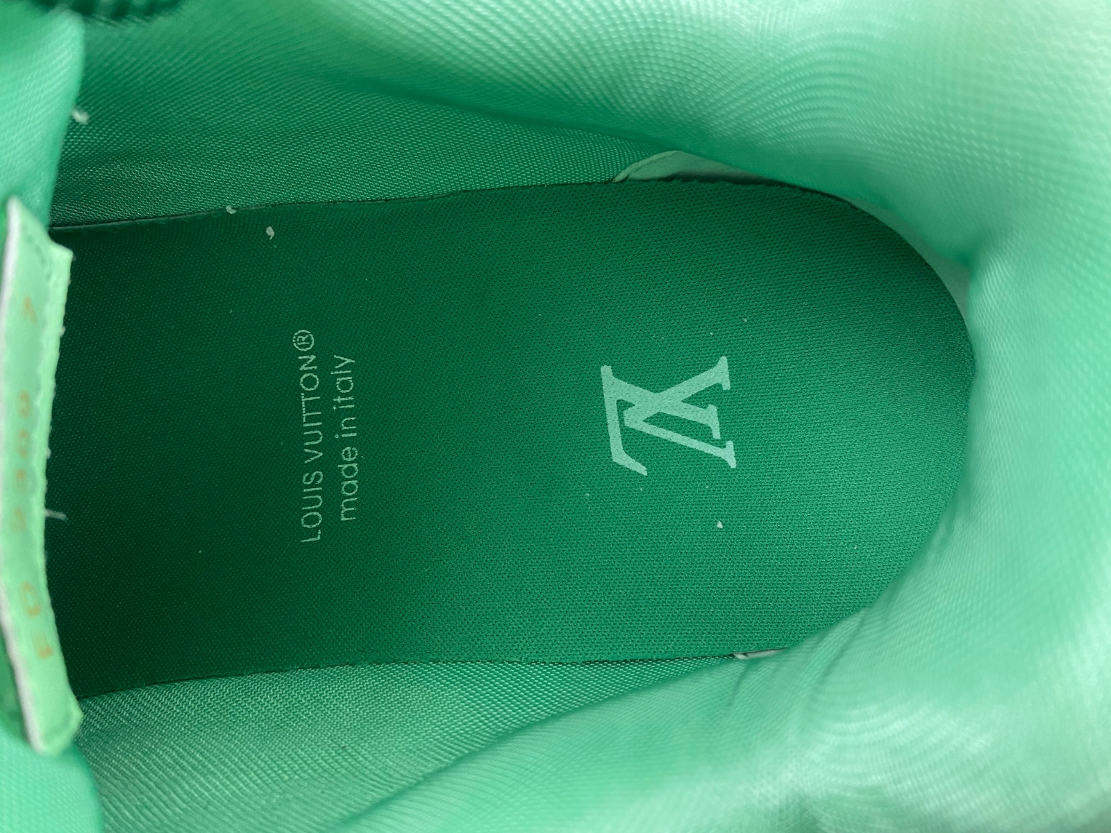 LV Skate Sneaker